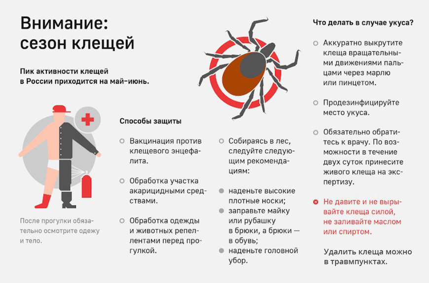 Осторожно, клещи!!!.
